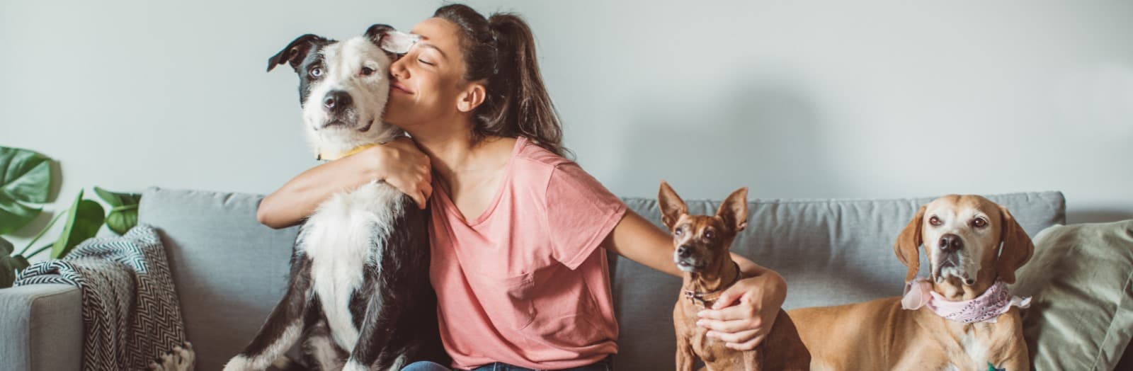 Owner and her Pets on a couch