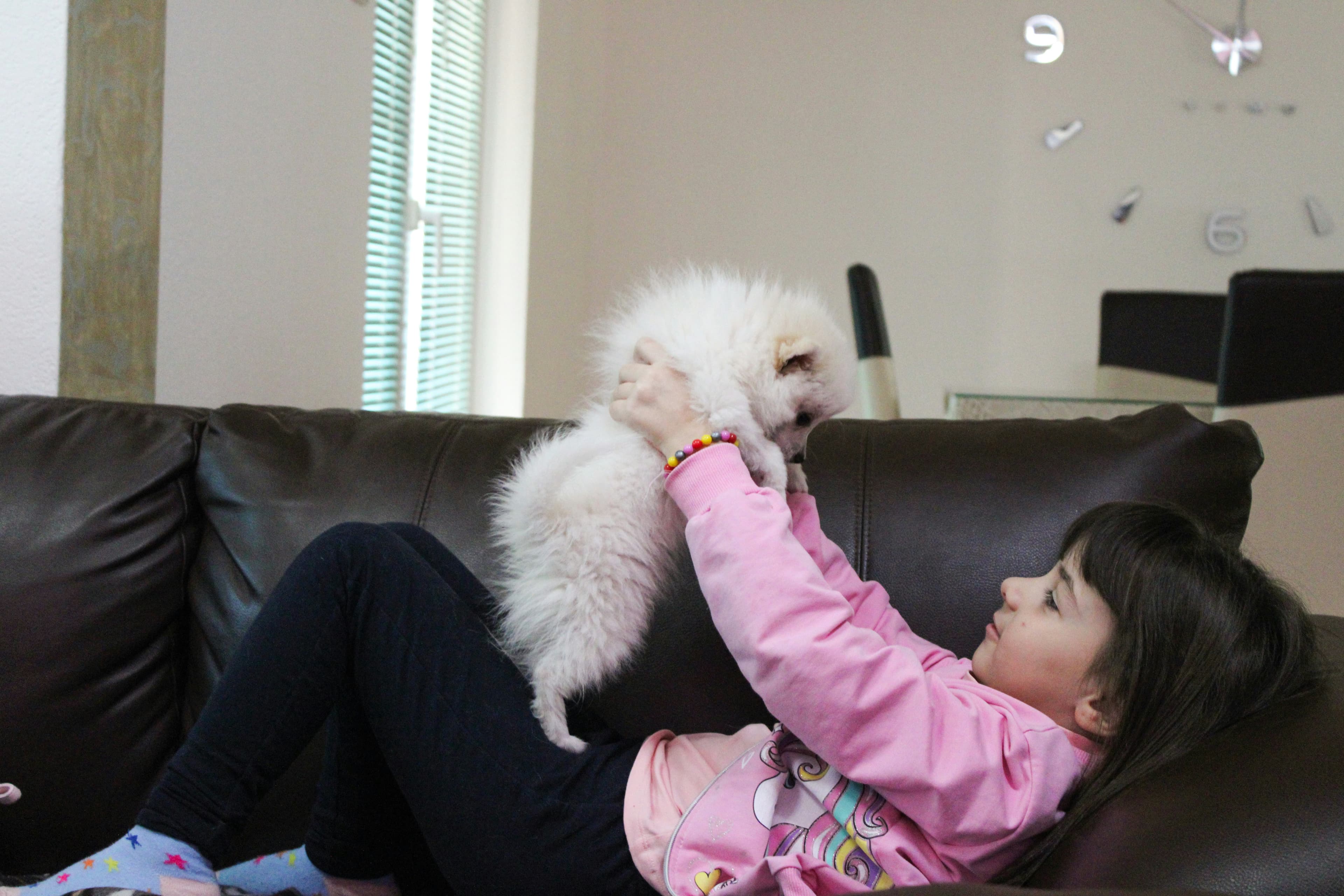 Pet sitter with dog