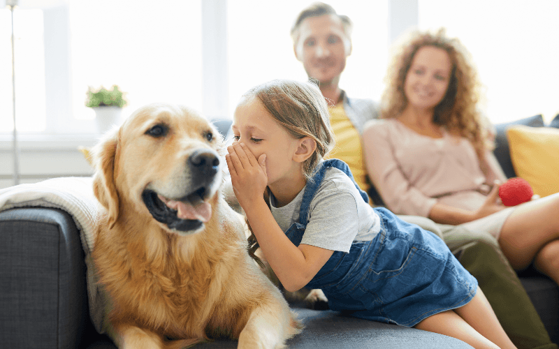The Importance of Socialization for Puppies and Kittens