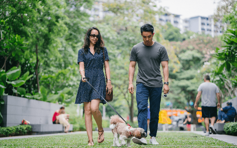 Choosing the Right Pet for Your Lifestyle