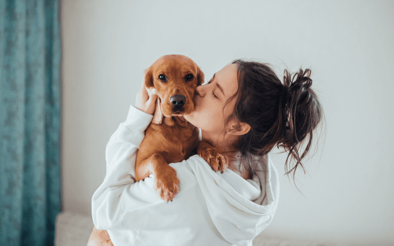 Pimp Up Your Own Pet Sitting Profile