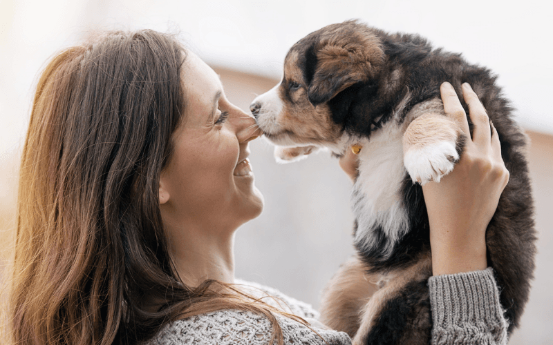 Essential Tips for 1st-Time Pet Owners