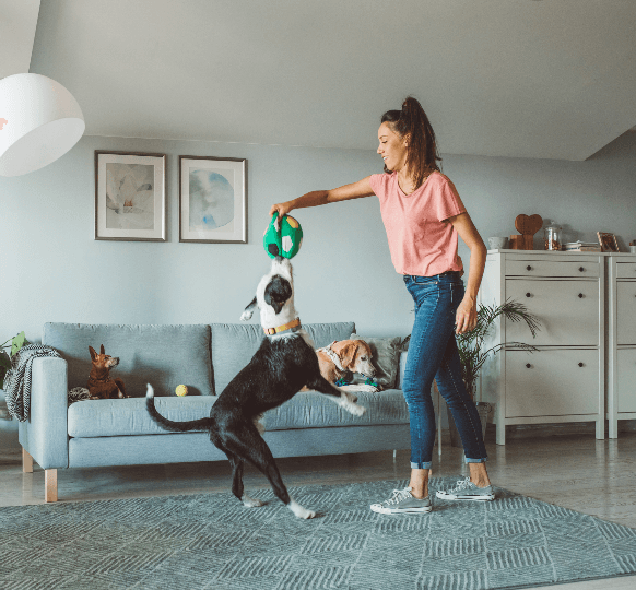 A WinniePaws sitter playing with dogs in their own home